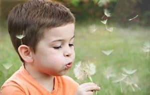 niño en el campo
