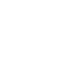 n1