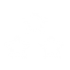 n2